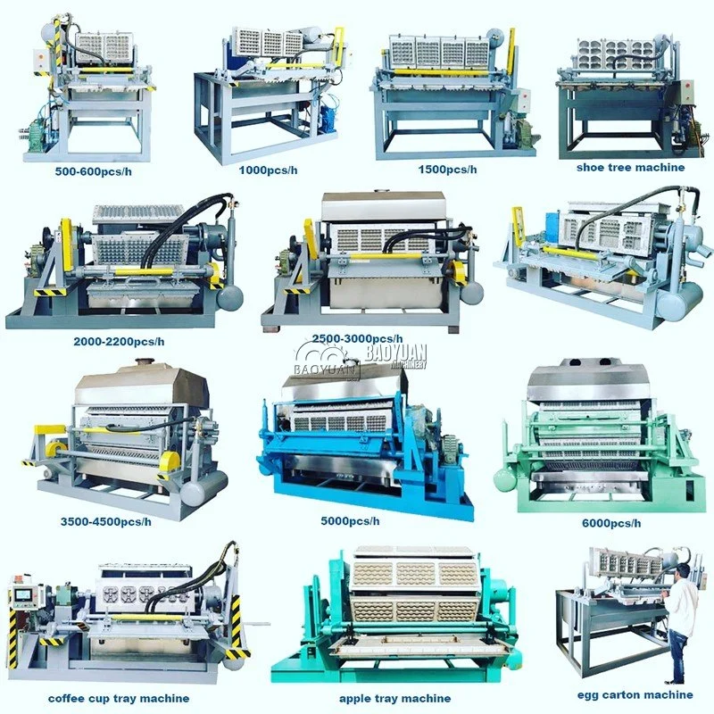 Equipment for Production Quail Egg Tray Paper Recycling Machineegg Carton Chicken Paper Egg Tray Forming Machine