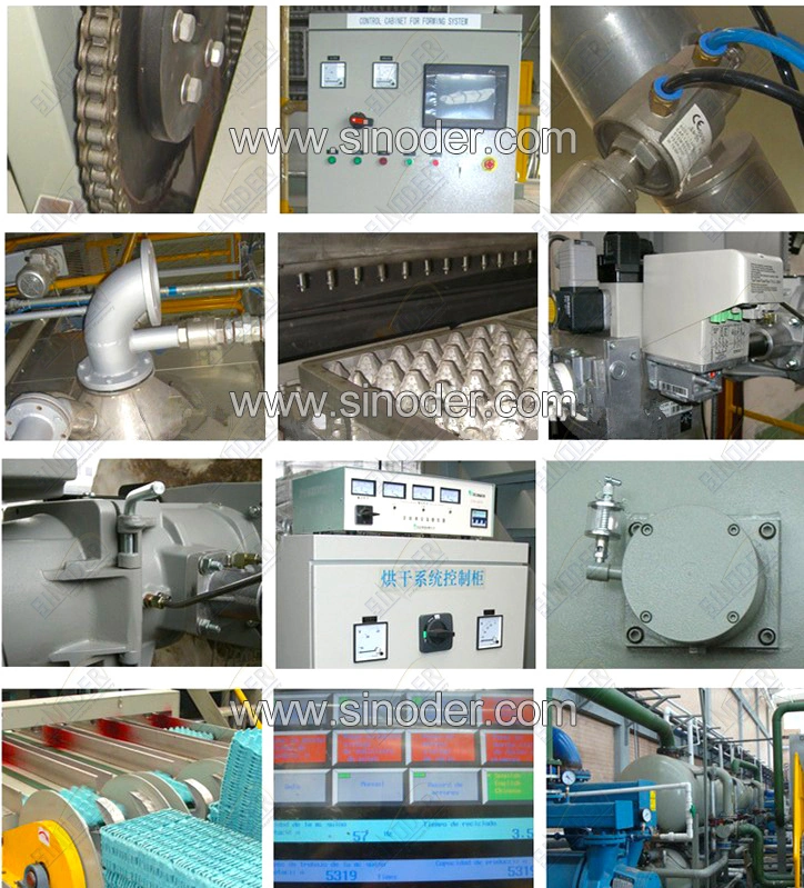 High Efficiency Paper Pulp Molding Machine Egg Tray Forming Plant Fruit Tray Making Equipment