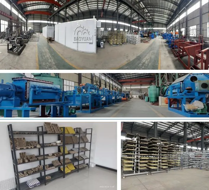 Equipment for Production Quail Egg Tray Paper Recycling Machineegg Carton Chicken Paper Egg Tray Forming Machine