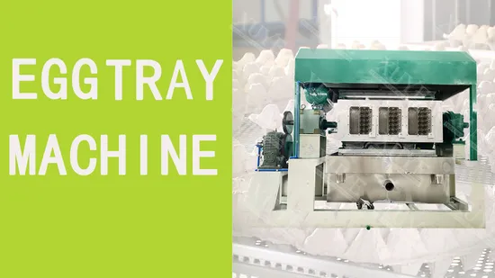 Automatic Egg Tray Pulp Tray Molding Equipment
