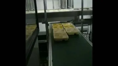 Polystyrene Polypropylene Lid Egg Tray Food Container Making Machine Equipment