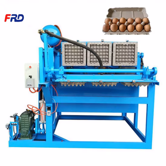 High Efficiency Paper Pulp Molding Machine Egg Tray Forming Plant Fruit Tray Making Equipment