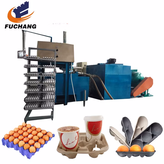 Egg Tray Equipment Hot Sale