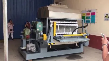 Egg Tray Moulding Machine Paper Plate Manufacturing Equipment