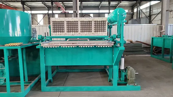 Egg Tray Pulp Molding Equipment From Factory Directly