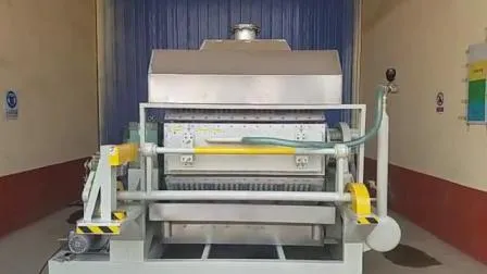 Pulp Egg Tray / Fruit Tray/ Shoes Tray Molding Equipment